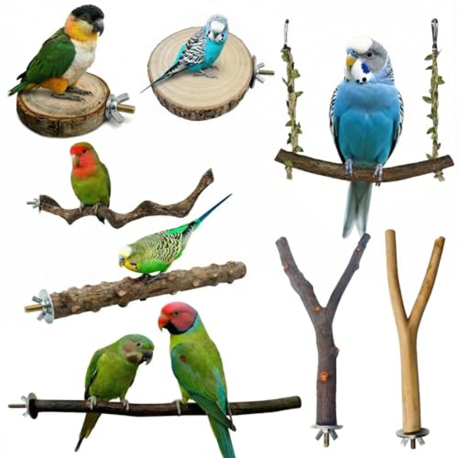 Health & Wellness Alegria - 8PCS natural wood bird perches for