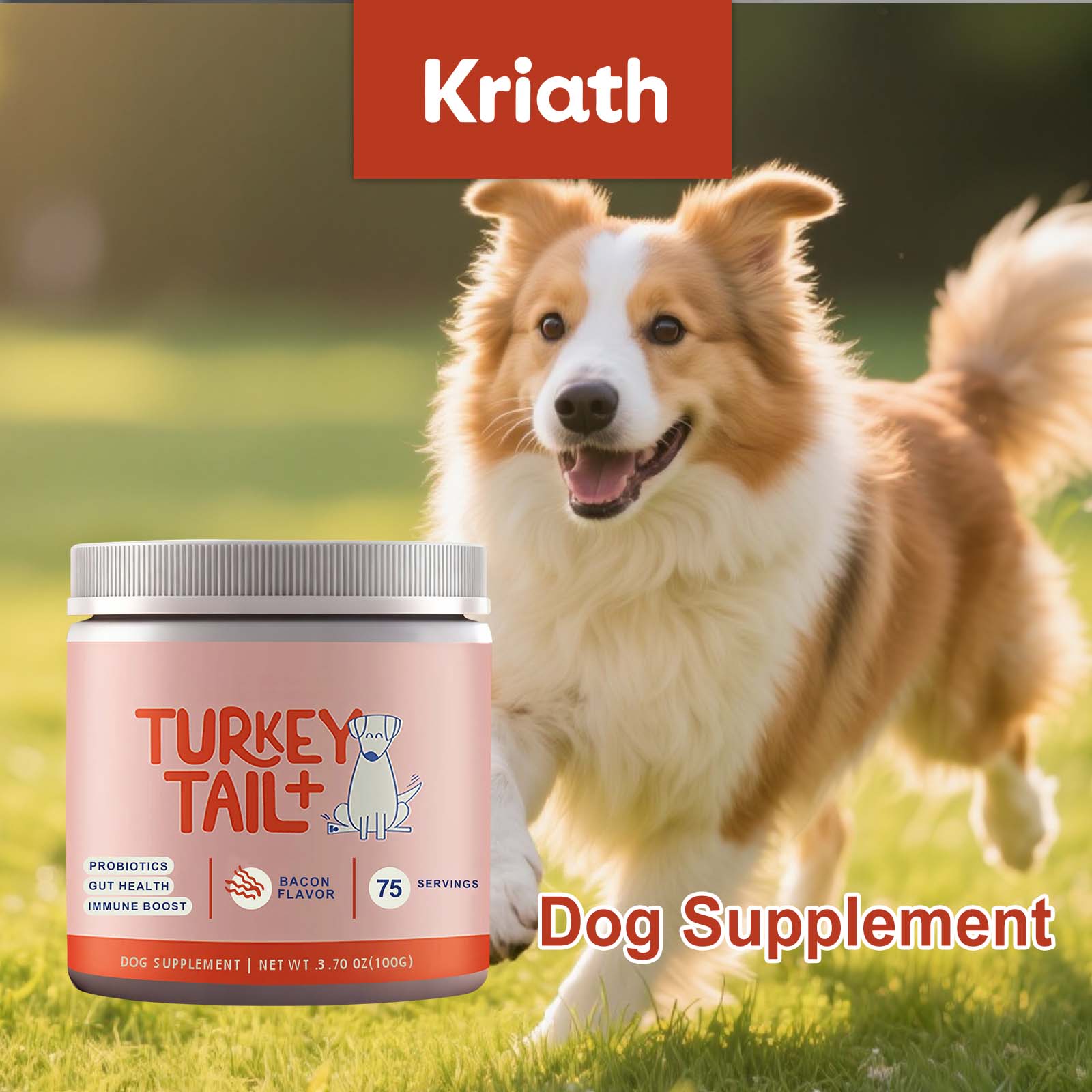 Canine Probiotic Powder Intest - Health Wellness Vitality review and price