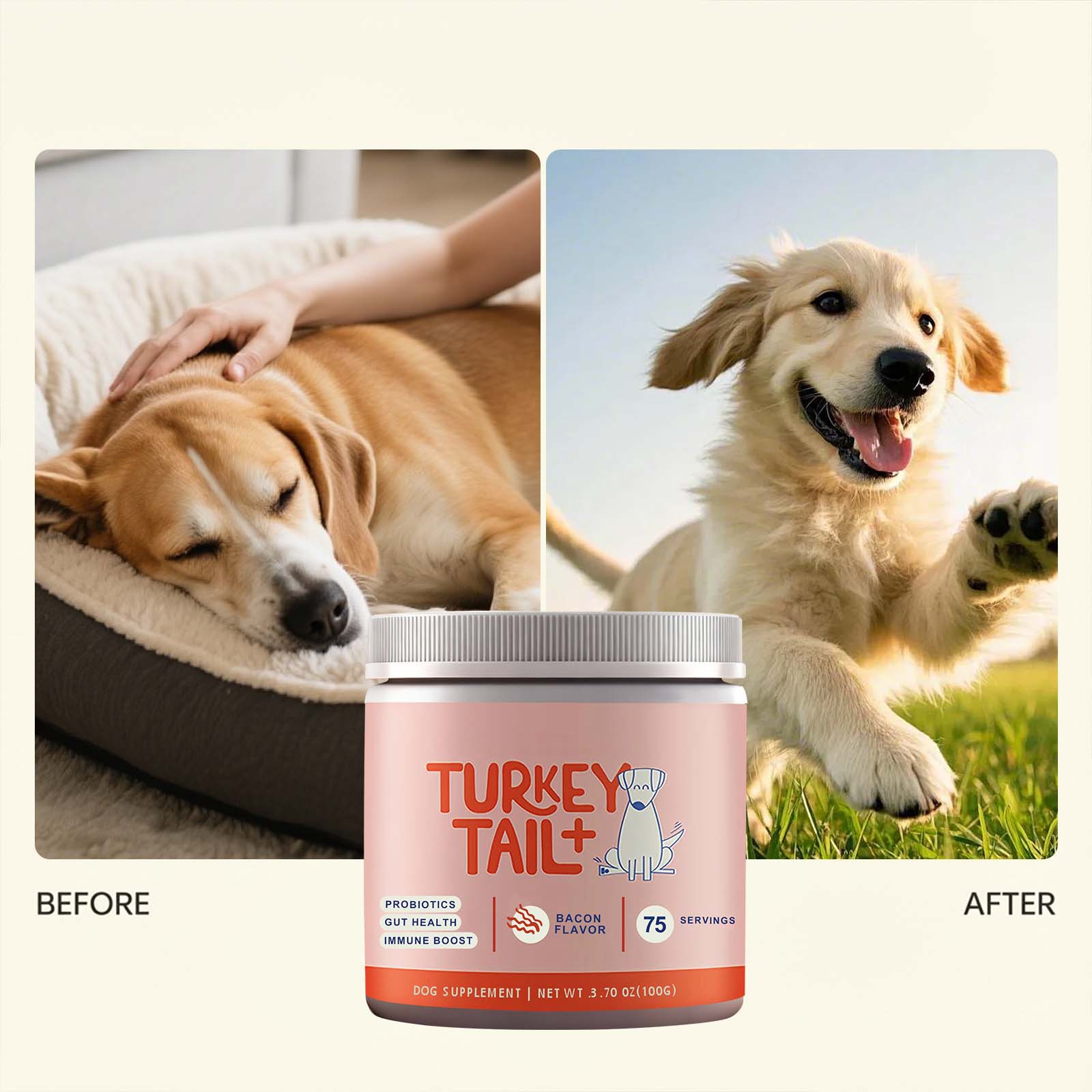 Canine Probiotic Powder Intest - Health Wellness Vitality review and price