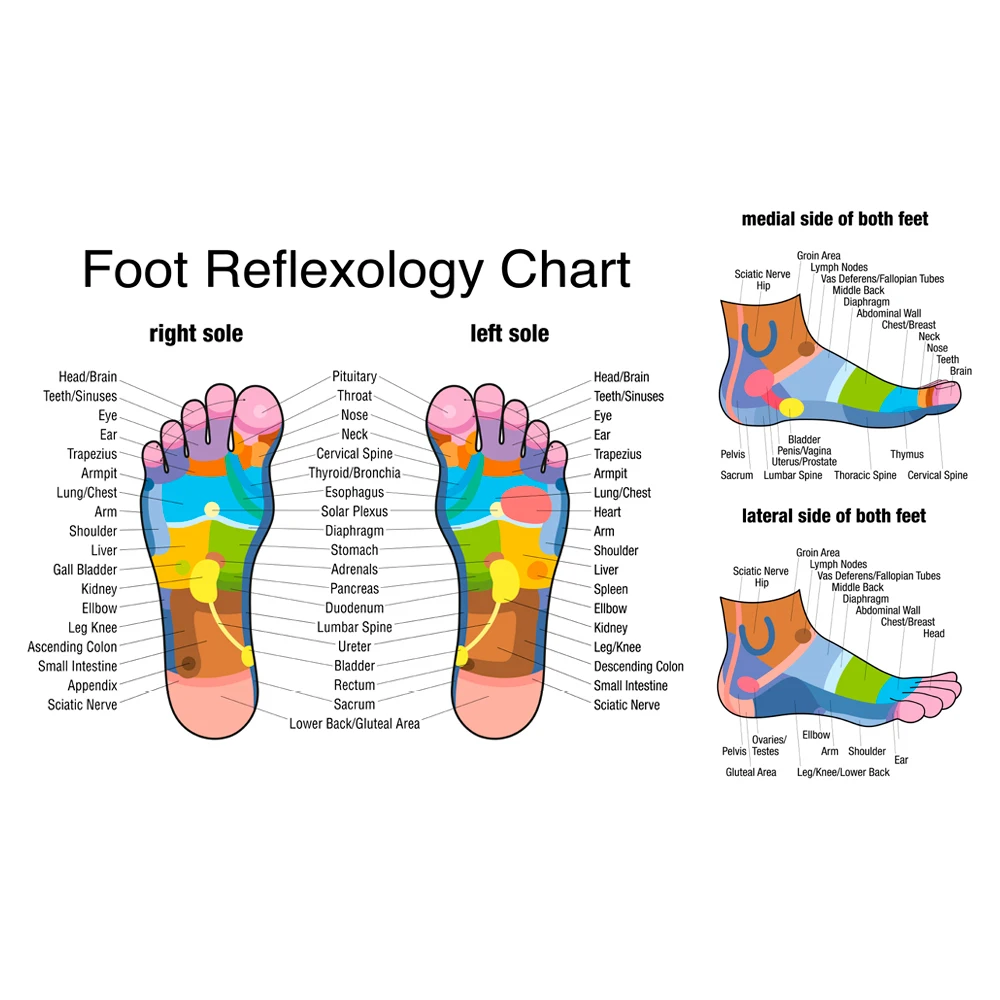 Wooden Foot Massage Roller Rel - Reflexology Foot Roller review and price